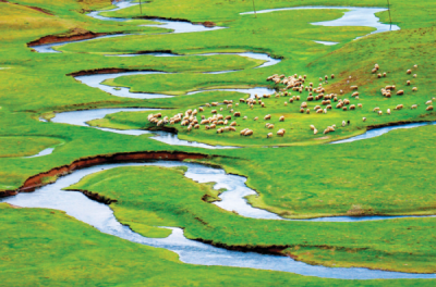 7. TARIM VE İNSAN FOTOĞRAF YARIŞMASI - Alp YETİMOĞLU