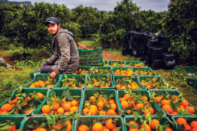 7. TARIM VE İNSAN FOTOĞRAF YARIŞMASI - Ekrem ŞAHİN 