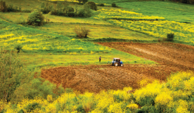 7. TARIM VE İNSAN FOTOĞRAF YARIŞMASI - Hasan ZER
