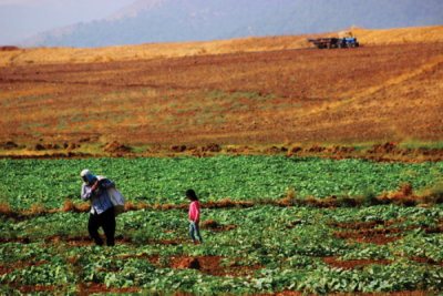 7. TARIM VE İNSAN FOTOĞRAF YARIŞMASI - Abdüssamed SERDAROĞLU