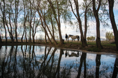 7. TARIM VE İNSAN FOTOĞRAF YARIŞMASI - Ahsen CANAN