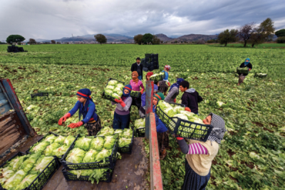 7. TARIM VE İNSAN FOTOĞRAF YARIŞMASI - Alahattin KANLIOĞLU