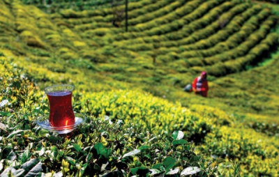 7. TARIM VE İNSAN FOTOĞRAF YARIŞMASI - Alp YETİMOĞLU