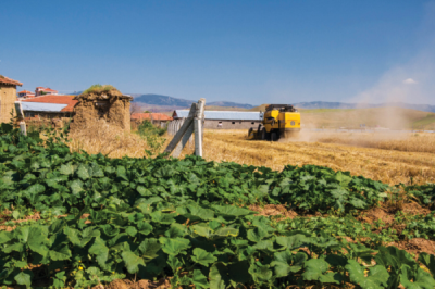 7. TARIM VE İNSAN FOTOĞRAF YARIŞMASI - Arap ÇATAROĞLU