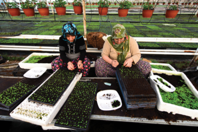 7. TARIM VE İNSAN FOTOĞRAF YARIŞMASI - Arda Adnan KALKAN 