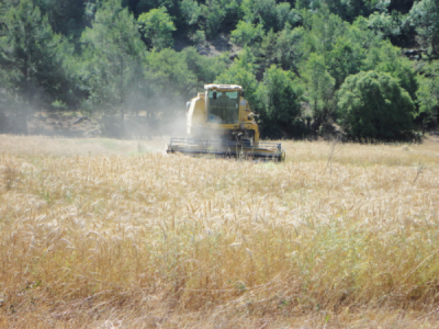 7. TARIM VE İNSAN FOTOĞRAF YARIŞMASI - Ayşegül BÜYÜKSÜNETÇİ