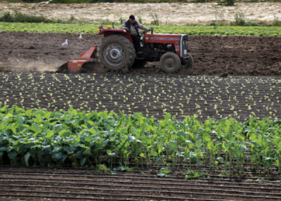 7. TARIM VE İNSAN FOTOĞRAF YARIŞMASI - Aytül AKBAŞ