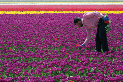 7. TARIM VE İNSAN FOTOĞRAF YARIŞMASI - Caner BAŞER