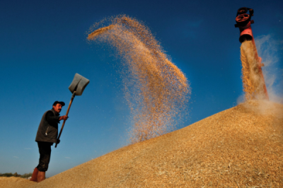 7. TARIM VE İNSAN FOTOĞRAF YARIŞMASI - Cem ELBİR