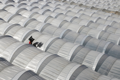 7. TARIM VE İNSAN FOTOĞRAF YARIŞMASI - Dilek ERİM