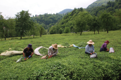7. TARIM VE İNSAN FOTOĞRAF YARIŞMASI - Dursun Ali AKPINAR