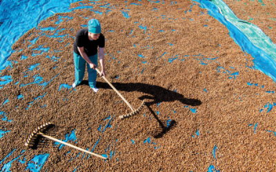 7. TARIM VE İNSAN FOTOĞRAF YARIŞMASI - Erhan AYDIN