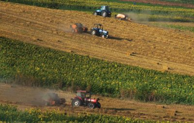 7. TARIM VE İNSAN FOTOĞRAF YARIŞMASI - Fahrettin BECEREN 
