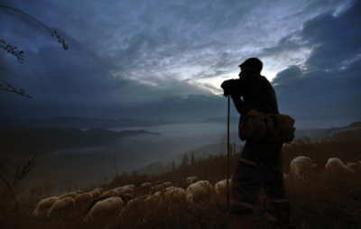 7. TARIM VE İNSAN FOTOĞRAF YARIŞMASI - Fahrettin BECEREN 