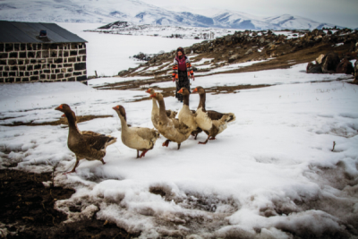 7. TARIM VE İNSAN FOTOĞRAF YARIŞMASI - Fatma DEMİR