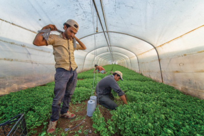 7. TARIM VE İNSAN FOTOĞRAF YARIŞMASI - Fatma DEMİR