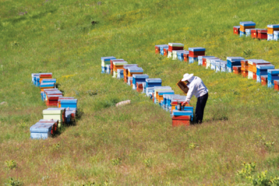 7. TARIM VE İNSAN FOTOĞRAF YARIŞMASI - Feyzullah TUNÇ