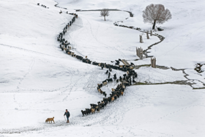 7. TARIM VE İNSAN FOTOĞRAF YARIŞMASI - Gökalp BİLİCİ