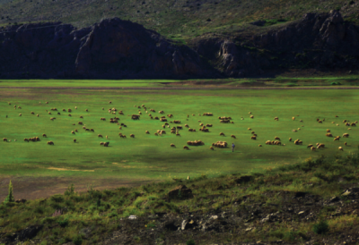 7. TARIM VE İNSAN FOTOĞRAF YARIŞMASI - Hakan BAHÇECİ