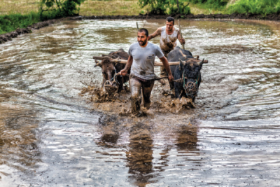 7. TARIM VE İNSAN FOTOĞRAF YARIŞMASI - Hakan YARALI