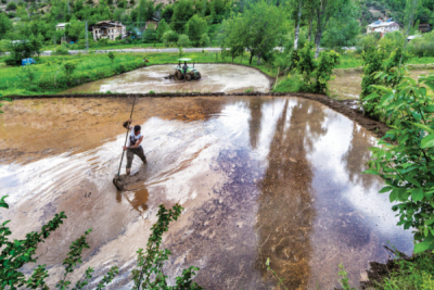 7. TARIM VE İNSAN FOTOĞRAF YARIŞMASI - Hakan YARALI