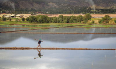 7. TARIM VE İNSAN FOTOĞRAF YARIŞMASI - Hakan YAYLA