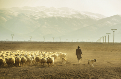 7. TARIM VE İNSAN FOTOĞRAF YARIŞMASI - Hakan YAYLA