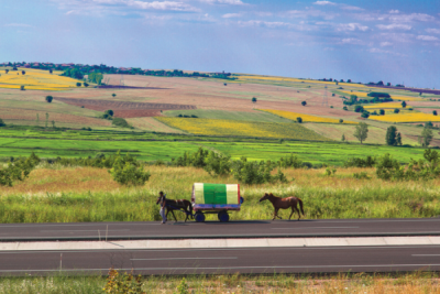 7. TARIM VE İNSAN FOTOĞRAF YARIŞMASI - Halil Habil KARAHAN