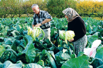 7. TARIM VE İNSAN FOTOĞRAF YARIŞMASI - Havva TUTAK 