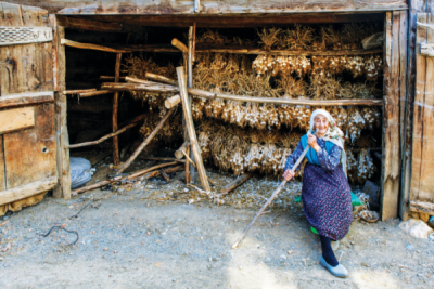 7. TARIM VE İNSAN FOTOĞRAF YARIŞMASI - Hikmet Cabar YAVUZAK