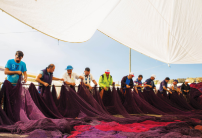 7. TARIM VE İNSAN FOTOĞRAF YARIŞMASI - İbrahim AYSÜNDÜ