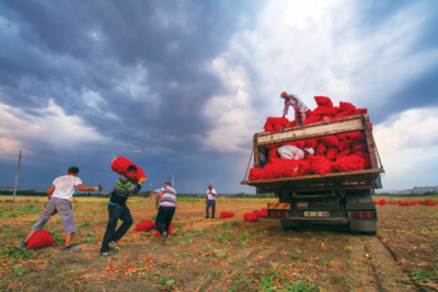 7. TARIM VE İNSAN FOTOĞRAF YARIŞMASI - Kahraman BEKÇİLİ