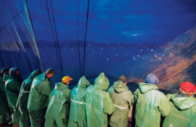 7. TARIM VE İNSAN FOTOĞRAF YARIŞMASI - Kemal ÖZKILIÇ