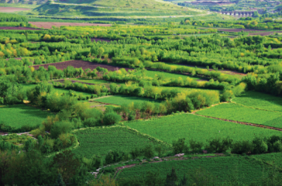 7. TARIM VE İNSAN FOTOĞRAF YARIŞMASI - Mehmet Masum SÜER