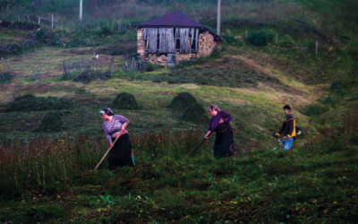 7. TARIM VE İNSAN FOTOĞRAF YARIŞMASI - Mehmet TOKATLI