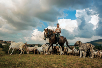 7. TARIM VE İNSAN FOTOĞRAF YARIŞMASI - Mikdat BESNİ