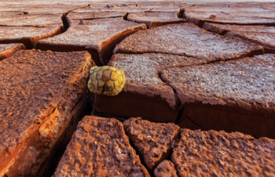 7. TARIM VE İNSAN FOTOĞRAF YARIŞMASI - Muhammet ÜNAL 