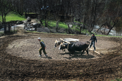 7. TARIM VE İNSAN FOTOĞRAF YARIŞMASI - Musa TALAŞLI