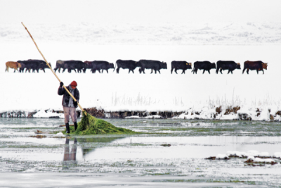 7. TARIM VE İNSAN FOTOĞRAF YARIŞMASI - Musa TALAŞLI