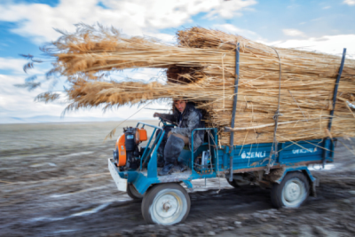 7. TARIM VE İNSAN FOTOĞRAF YARIŞMASI - Mustafa Furkan AKSOY