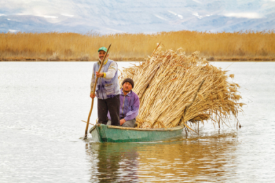 7. TARIM VE İNSAN FOTOĞRAF YARIŞMASI - Mustafa Furkan AKSOY