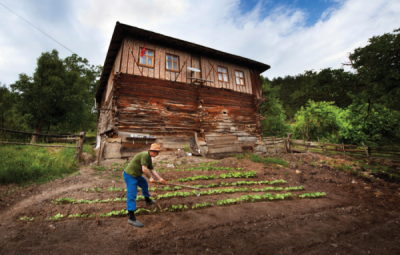 7. TARIM VE İNSAN FOTOĞRAF YARIŞMASI - Mustafa GEZER