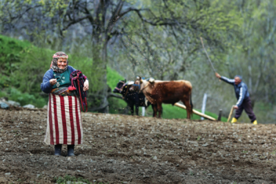7. TARIM VE İNSAN FOTOĞRAF YARIŞMASI - Mustafa ZENGİN