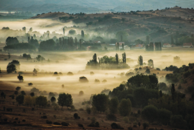 7. TARIM VE İNSAN FOTOĞRAF YARIŞMASI - Nuray APARI  