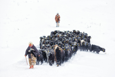 7. TARIM VE İNSAN FOTOĞRAF YARIŞMASI - OĞUZ İPÇİ