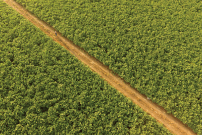 7. TARIM VE İNSAN FOTOĞRAF YARIŞMASI - Osman MAAŞLIOĞLU