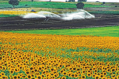 7. TARIM VE İNSAN FOTOĞRAF YARIŞMASI - Ramiz AKAR