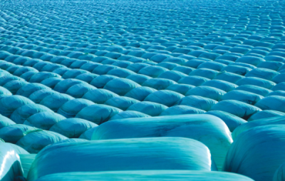 7. TARIM VE İNSAN FOTOĞRAF YARIŞMASI - Temel Şükrü TÖRE