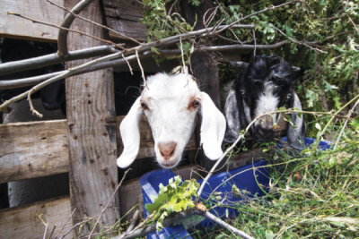 8. TARIM VE İNSAN FOTOĞRAF YARIŞMASI - Ilker OCAKTAN
