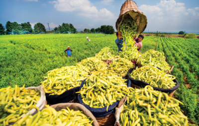 8. TARIM VE İNSAN FOTOĞRAF YARIŞMASI - Batuhan BECEREN